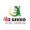 오즈게코 호주 현지 여행사 (OzGekko Travel)