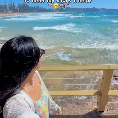 @amazingsydneylife 게시물: Port Jackson Sharks 🦈🫶🏼🫶🏼 (2026.09.26)