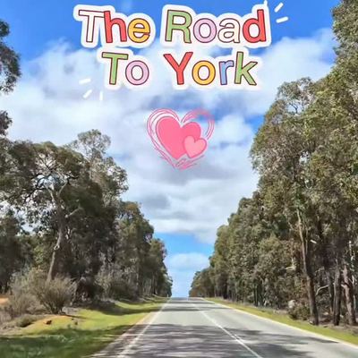 @specialperth 게시물: 📍서호주 요크의 봄 | 야생화가 피기 시작합니다. 서호주 요크의 봄이 오면 자연 곳곳에서 야생화를 만날 수 있습니다. 요크의 야생화 시즌은 7월 (2026.09.03)