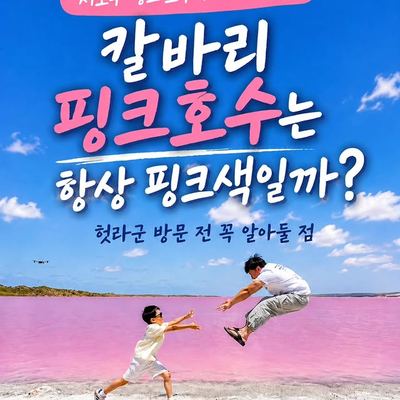 @specialperth 게시물: 📍 칼바리 핑크호수, 이렇게 선택하면 후회없습니다. 서호주 칼바리 핑크호수의 정확한 이름은 헛라군(Hutt Lagoon) 입니다. 사진에서는 진 (2026.08.24)