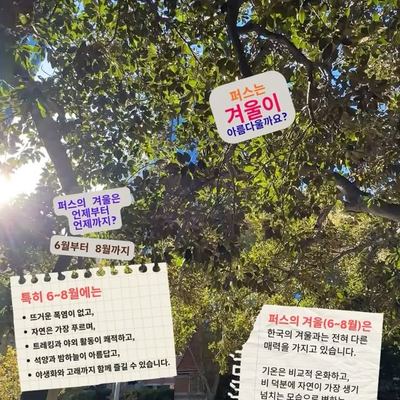 @wowhoju 게시물: 6월부터 8월까지 퍼스는 전혀 다른 모습으로 변합니다. > 메말랐던 대지는 초록빛으로 물들고, > 야생화가 피어나기 시작하며, > 공기는 더욱  (2026.07.13)